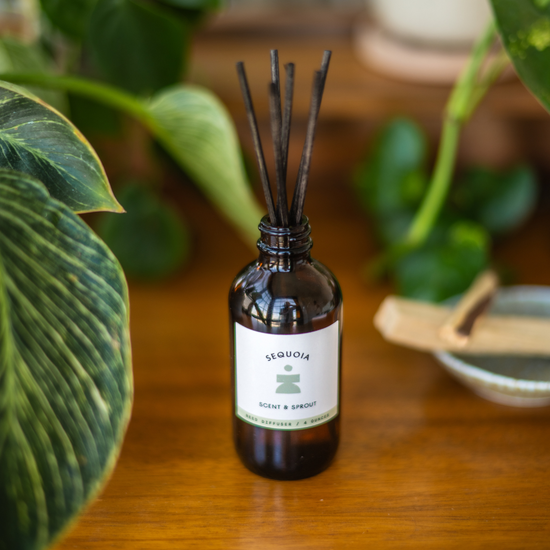 Sequoia Reed Diffuser