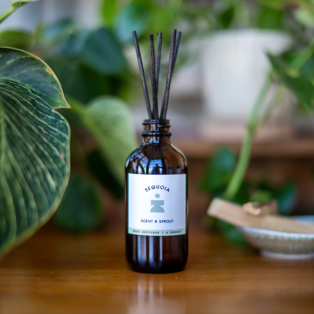 Sequoia Reed Diffuser